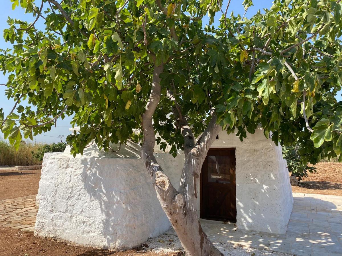 Trullo Seaside Polignano Villa Polignano a Mare Exteriör bild
